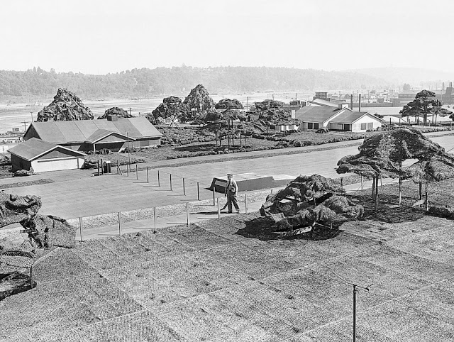 On the roof of Boeing Plant 2, camouflage trees and structures were shorter than a person.